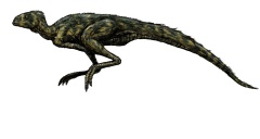 † Pisanosaurus mertii(vor etwa 235 bis 228 Millionen Jahren)